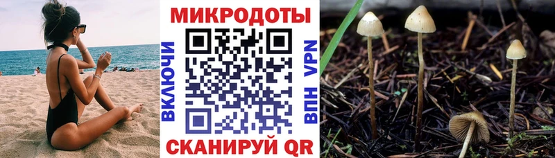 Псилоцибиновые грибы Magic Shrooms цена Свирск